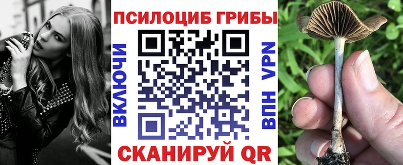 Псилоцибиновые грибы Psilocybe  гидра онион  Ярцево 